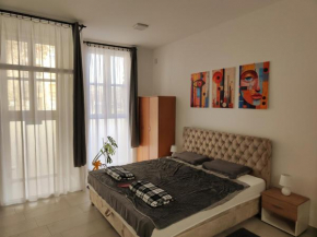 Apartman Opačić 1